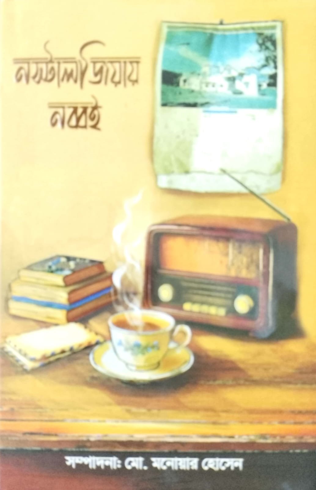 নঠটাল জিয়ার নব্বই book cover