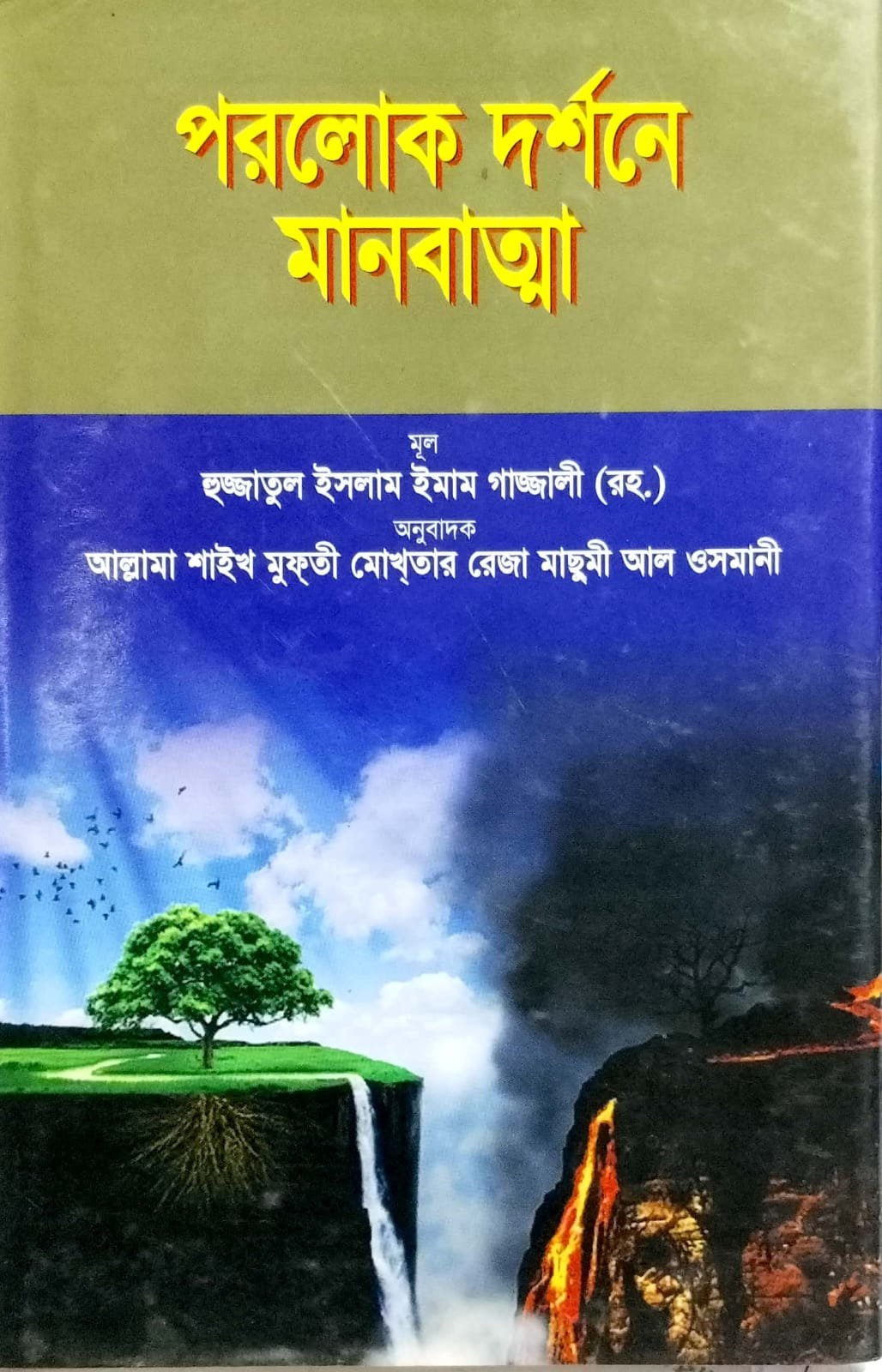 পরলোক দর্শনে মানবাত্মা book cover