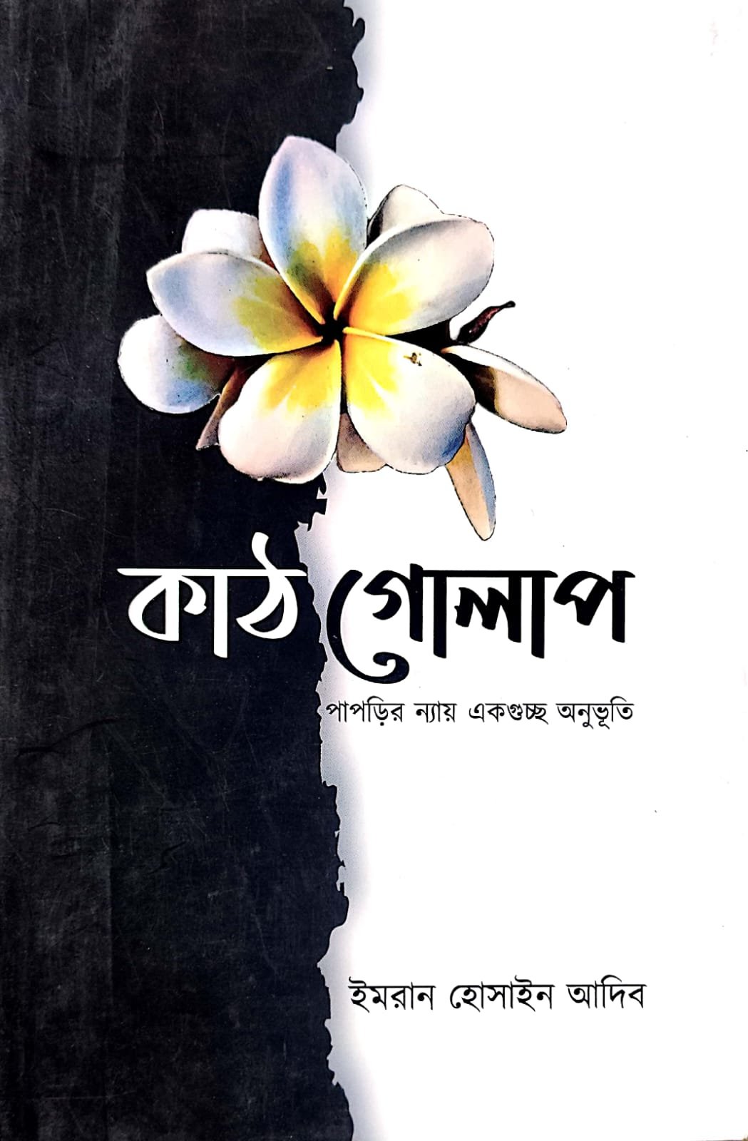 কাঠ গোলাপ book cover