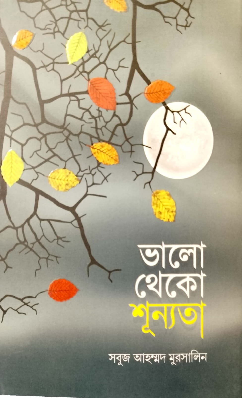 ভালো থেকো শূন্যতা book cover