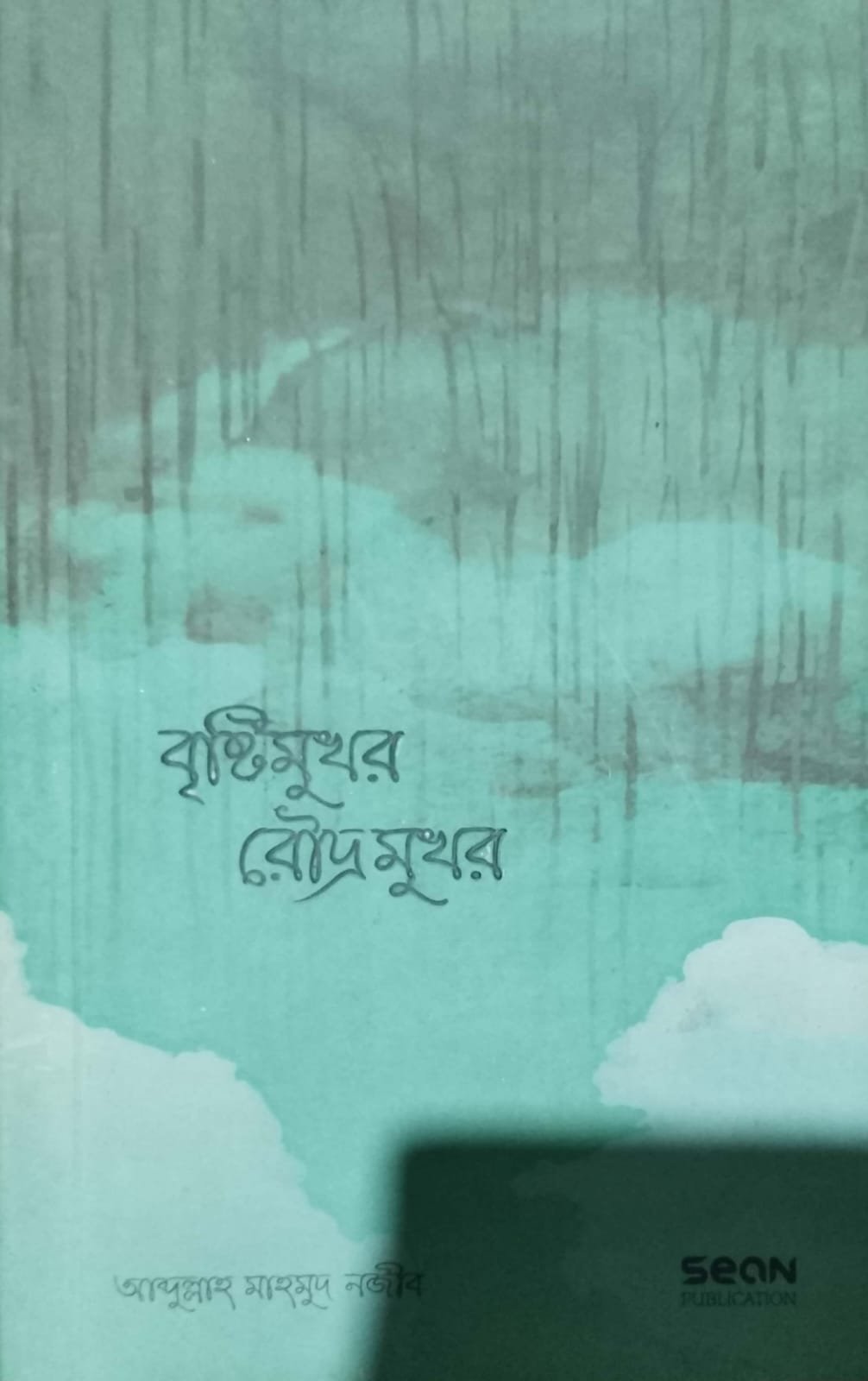 বৃষ্টিমুখর রোদ্রমুখর book cover