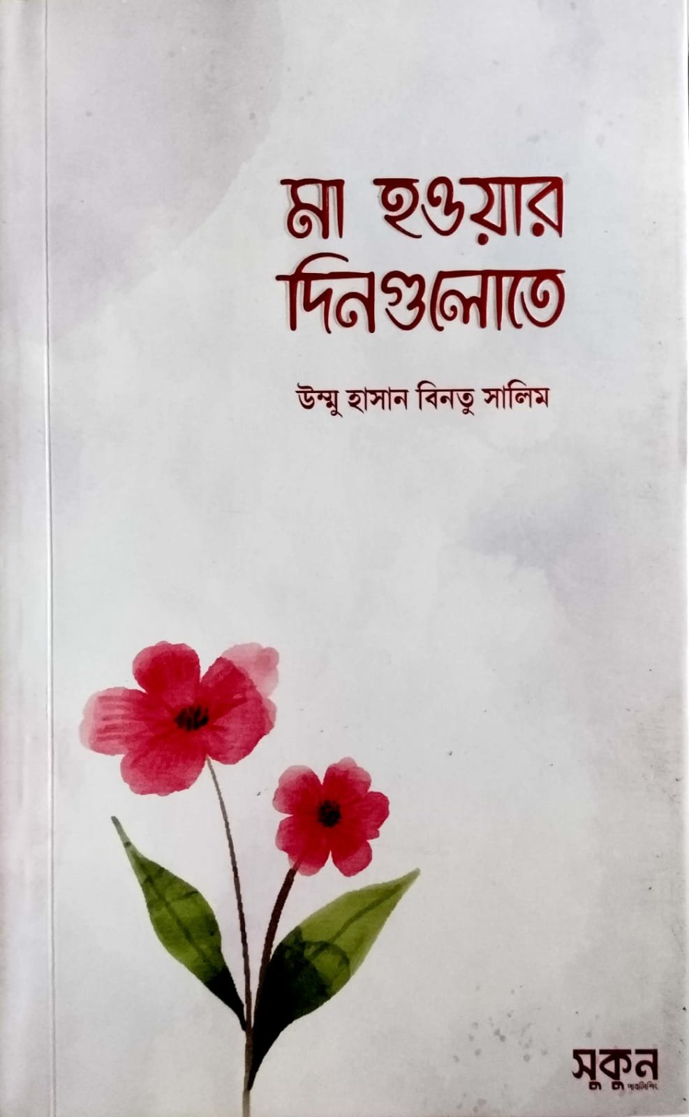 মা হওয়ার দিনগুলোতে book cover