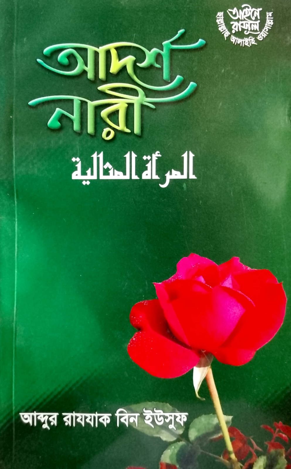 আদর্শ নারী book cover