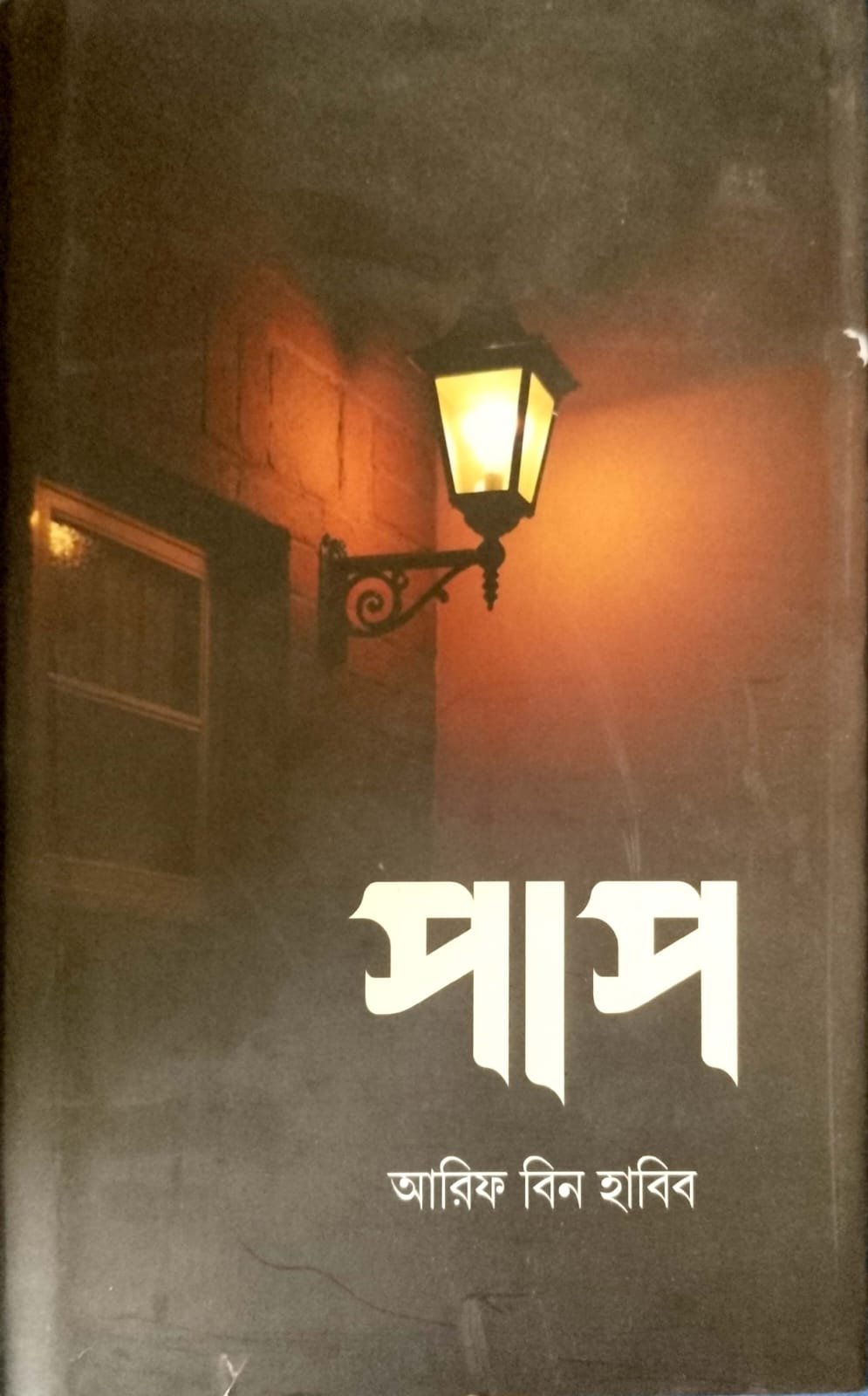 পাপ 1 book cover