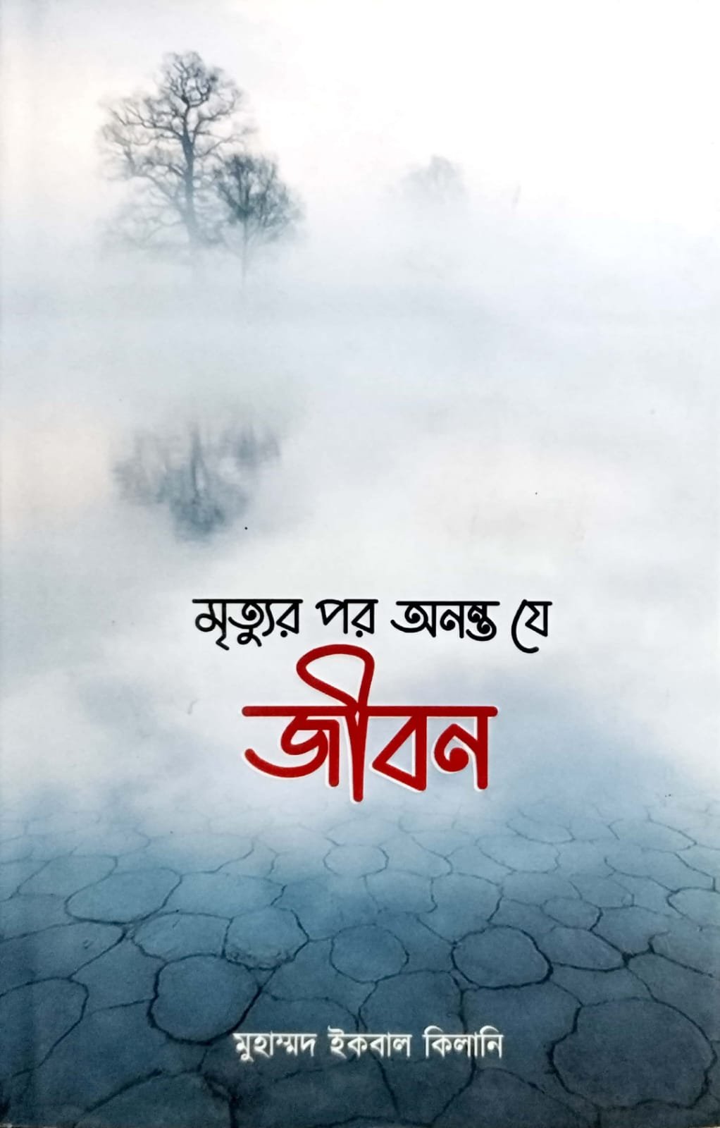 মৃত্যুর পর অনন্ত যে জীবন book cover