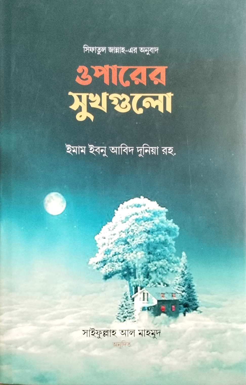 ওপারের সুখগুলো book cover