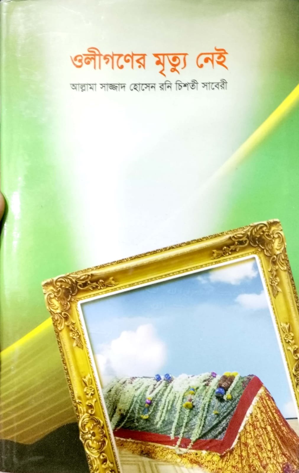 অলিগণের মৃত্যু নেই book cover